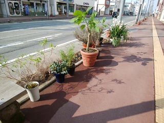 IMG_20170330_151057.jpg
