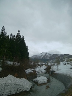 IMG_20170426_143900-01.jpeg